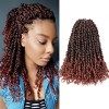 Passion Twist Hair 10 pouces 8 packs Pré-torsionnés Passion Twist Crochet Cheveux Pré-bouclés Crochet Cheveux YDDM Court Pass