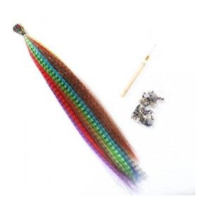 Reccisokz Jeu dextension de cheveux synthétiques avec une variété dextensions de couleurs vives, 50 perles et crochets.