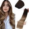 LaaVoo Tissage Extension Cheveux Humains 14pouce 80g Balayage Marron Foncé Ombre to Blonde Fraise Tissage Naturel Cheveux Rem