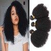 TNICE Tissage Bresilien Afro Kinky Curly Hair Tissage Cheveux Naturels 3 Bundles Tissage Bouclés&nbsp;Naturel Cheveux Humain Meche