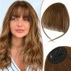 RUWISS Postiche Frange a Clip 100% Cheveux Naturel Humain Wispy Bangs Franges Avec Temples Extension Frange Clip on Bangs pou...