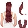 Longue Wrap Around Ponytail Postiche Extension a Clip Cheveux Naturel Queue de Cheval Pour les Femmes Pour un Usage Quotidien