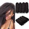 4 paquets de tressage de cheveux extensions Afro Kinky Twist Crochet Braids cheveux synthétiques 20 pouces 1B 