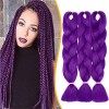 3 Pièces Mèche Tresse Africaine Hair Braid 300G[100g/pièce] Extension Cheveux Tresse Synthétique Braiding Hair Extension, 24 