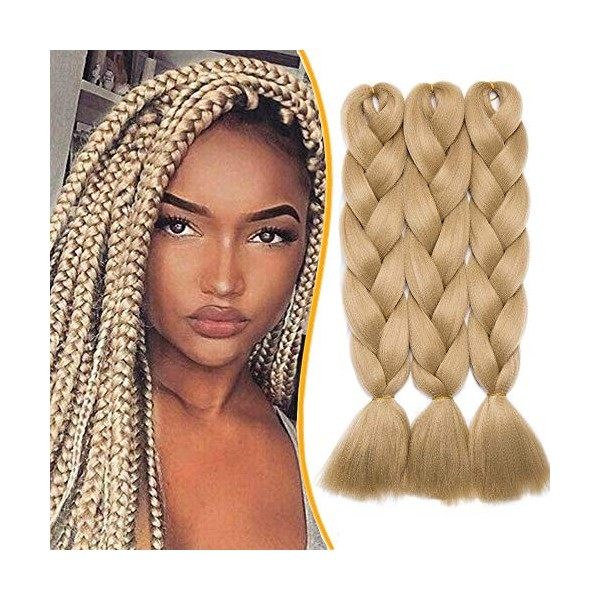 3 Pièces Mèche Tresse Africaine Hair Braid 300G[100g/pièce] Extension Cheveux Tresse Synthétique Braiding Hair Extension, 24 