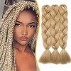 3 Pièces Mèche Tresse Africaine Hair Braid 300G[100g/pièce] Extension Cheveux Tresse Synthétique Braiding Hair Extension, 24 