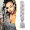 3 Pièces Mèche Tresse Africaine Hair Braid 300G[100g/pièce] Extension Cheveux Tresse Synthétique Braiding Hair Extension, 24 