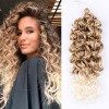 Hawaii Ocean Wave Crochet Cheveux 20 Pouces 6packs Naturel Noir - Ocean Wave Tresses Cheveux Synthétique Crochet Tressage Ext