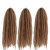 Eunice Hair lot de 3 Extensions capillaires synthétiques tresses style Marley Afro Kinky Bulk Hair Twist Crochet Cheveux raid