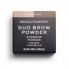 Revolution Pro, Duo Eyebrow, Poudre à Sourcils, Dark Brown, 2.2g