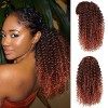 Colorfulpanda Queue de Cheval Afro Crépus Bouclés Ondulée Postiche Ponytail Cheveux Naturel Cordon pour Femmes Noires Extensi