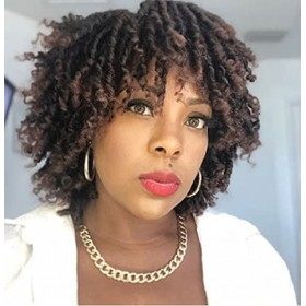 Becus Perruque Femme Naturelle Courte Perruque Afro Femme Cheveux Naturels Perruque Tresse Usage Quotidien Noir à Marron 