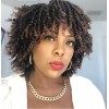 Becus Perruque Femme Naturelle Courte Perruque Afro Femme Cheveux Naturels Perruque Tresse Usage Quotidien Noir à Marron 