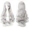 YEESHEDO 28"/70cm Gris Argent Bouclé Perruque Femme, Longue Ondulée Gris Blanc Synthétique Cheveux, Cosplay Anime Perruques 