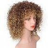 REVIVI Mixte Brun et Blonde Perruque Courte Afro Crépus Bouclés Perruques Synthétique pour les Femmes Noires Fiber Haute Synt