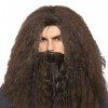 Wizard Wig Perruque longue et bouclée avec barbe afro frisée perruque duveteuse pour cosplay accessoires de costume Halloween