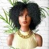 Perruque Afro Femme Naturelle avec Frange Court Kinky Curly Hair Wigs Human Hair Bresilienne Remy Hair 180% Densité Curly Pou