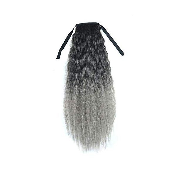 Perruque Femme Extensions de Cheveux de Clip de Queue de Cheval de Ruban de Couleur Dégradé Ondulé Bouclé Longue Queue de Che