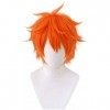 LZT Haikyuu !! 12 pouces court Orange moelleux couches haute température fibre synthétique cheveux perruque hommes garçons pe