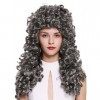 WIG ME UP - B17-2P-B-44 Perruque dame homme baroque renaissance roi gentilhomme boucles longues bouclées gris foncé