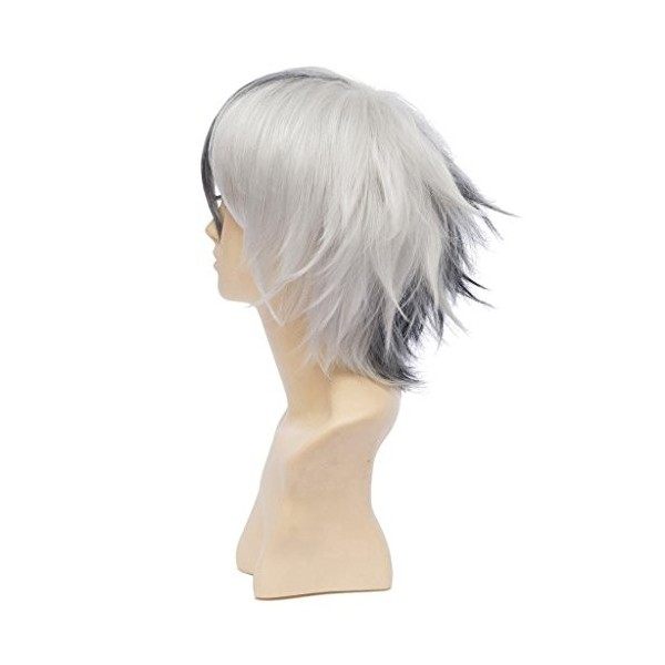 HH Building Fashionable Short Fluffy Layers Cosplay Costume Wig Mix Color Hair Black White by HH Building