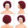 DaiMer Curly Bob 13X1 Lace Front Pixie Cut Human Hair Wigs for Black Women Hand Tied Lace Two Tone Pre Plucked Glueless Wig w