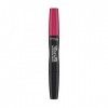 LASTING PROVOCALIPS lip colour transfer proof 310-pounting pink 2,3 ml