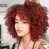 Colorfulpanda Perruque Femme Naturelle Bouclée Cheveux Kinky Curly Bob Afro Wigs pour Femme 150% Densité Perruque rouge 14 Po