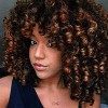 Colorfulpanda Perruque Femme Naturelle Bouclée Cheveux Kinky Curly Bob Afro Wigs pour Femme 150% Densité Perruque rouge 14 Po