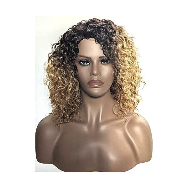 ECLA Shakira Perruque Bouclée Mi-longue 43,2cm 17” Cheveux Synthétiques Résistants à La Chaleur Pour Les Femmes Couleur Tie a