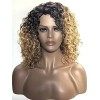 ECLA Shakira Perruque Bouclée Mi-longue 43,2cm 17” Cheveux Synthétiques Résistants à La Chaleur Pour Les Femmes Couleur Tie a