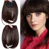 Postiche Frange a Clip Extension de Cheveux Lisse - Clips in Hair Bang Fringe Hair Extensions 30g Tempes 22cm Marron