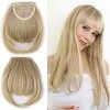 Postiche Frange a Clip Extension de Cheveux Lisse - Clips in Hair Bang Fringe Hair Extensions 30g Tempes 22cm Marron