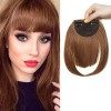 SEGO Postiche Frange à Clip Cheveux Synthetique - Fausse Frange Avec 2 Clips Une Seule Pièce - Clip in Bangs Fringe Hair Exte