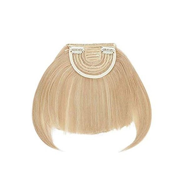 SEGO Postiche Frange à Clip Cheveux Synthetique - Fausse Frange Avec 2 Clips Une Seule Pièce - Clip in Bangs Fringe Hair Exte