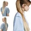 CAISHA by PRETTYSHOP 60cm Ponytail Postiche Avec Pince Papillon Natte Queue De Cheval Extensions De Cheveux Raide Mélange Blo