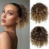 RUWISS Postiche Afro Queue de Cheval Courte Bouclés Ponytail Extension Cheveux Naturel Cordon de Serrage Clip Synthétique Raj