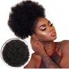 Afro Puff Cordon Queue de Cheval Afro Puff Queue de Cheval à Cheveux Afro Kinky Bouclés Extension a Clip Cheveux Afro Courts 