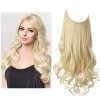 Perruque femme ligne poisson extension de cheveux pièce fibre chimique mat haute température soie longs cheveux bouclés quatr