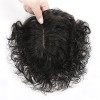 Curly Lace Perruque Cheveux Humains Topper Extensions De Cheveux Pour Femmes Couvrant Cheveux Fins Cheveux Blancs Crown Clip 