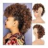 TOMYEUS Postiche Chignon synthétique, queue de cheval afro bouffante haute avec frange, extension cordon serrage crépus, clip