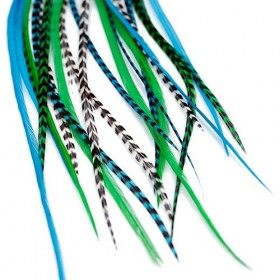 Extensions De Cheveux En Vraies Plumes + anneaux/boucle - Valley 5 plumes 