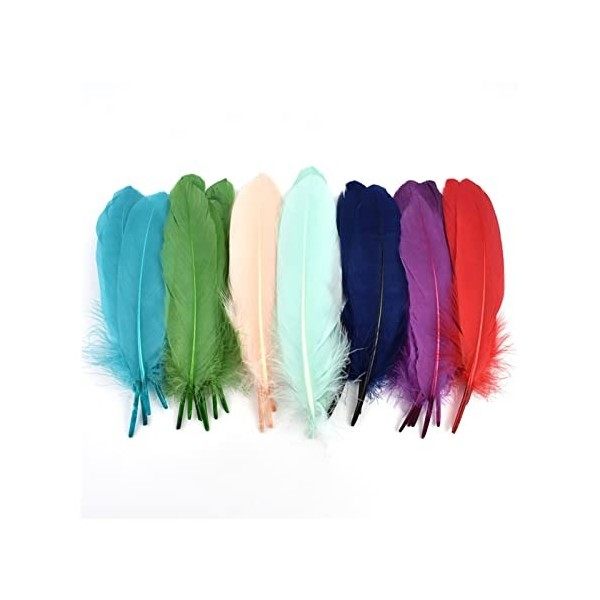 LUCEO Bâton Dur Plumes doie Naturelles for Receveur Plumes colorées Artisanat Accessoires Bricolage décor