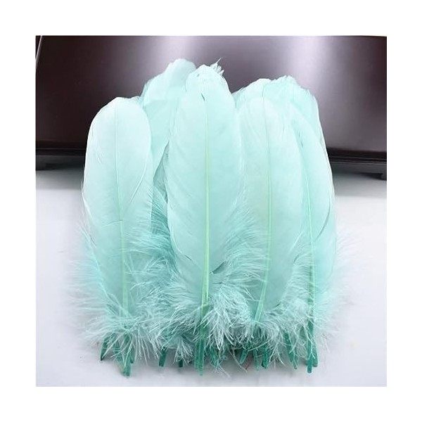 LUCEO Bâton Dur Plumes doie Naturelles for Receveur Plumes colorées Artisanat Accessoires Bricolage décor