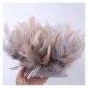 LUCEO Plume Garniture Ruban 10-15 CM Décoration De Ruban for Robe De Soirée De Mariage Vêtements Couture Artisanat Plumes