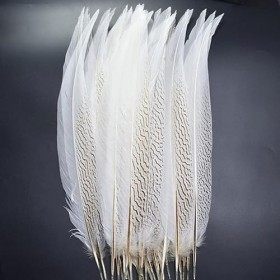 LUCEO Artisanat Plume De Faisan en Argent Naturel Carnaval Plumes De Mariage Couture Accessoires Décoration