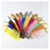 LUCEO 15-20cm/6-8 Plumes Naturelles de Canard for Artisanat Carnaval Assesoires décoration de Mariage