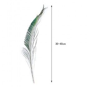 LUCEO 35-40 CM/14-16 Pouces Décoration for Fête Mariage Maison Bijoux Accessoire Artisanat Plume 10 Pcs