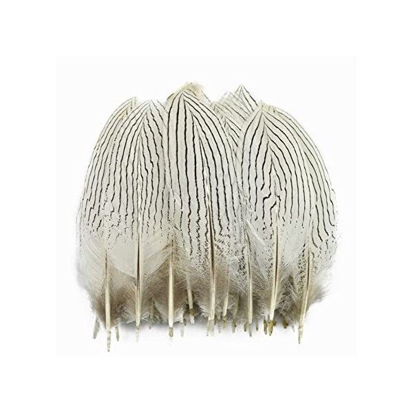 LUCEO Plumes de Faisan argentées for Artisanat 10-25cm 4-10" Dream Catcher Plumes Décor de Plumes de Faisan Blanc