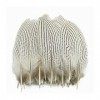 LUCEO Plumes de Faisan argentées for Artisanat 10-25cm 4-10" Dream Catcher Plumes Décor de Plumes de Faisan Blanc